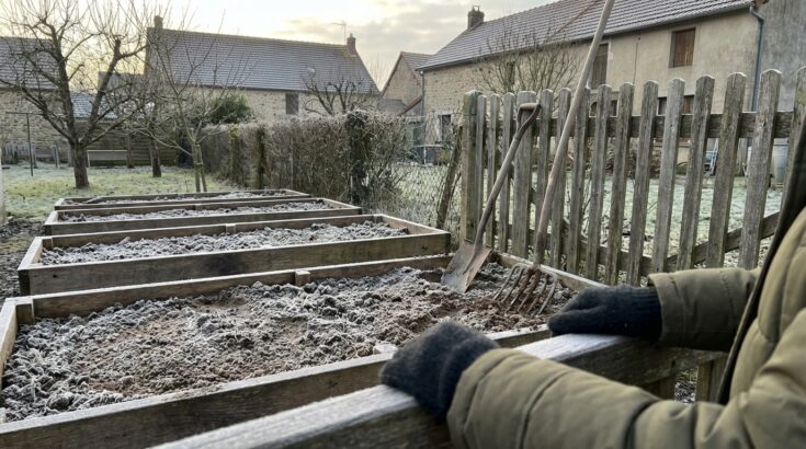 Potager : ce choix surprenant que font les plus malins en janvier pour limiter ravageurs et maladies au printemps